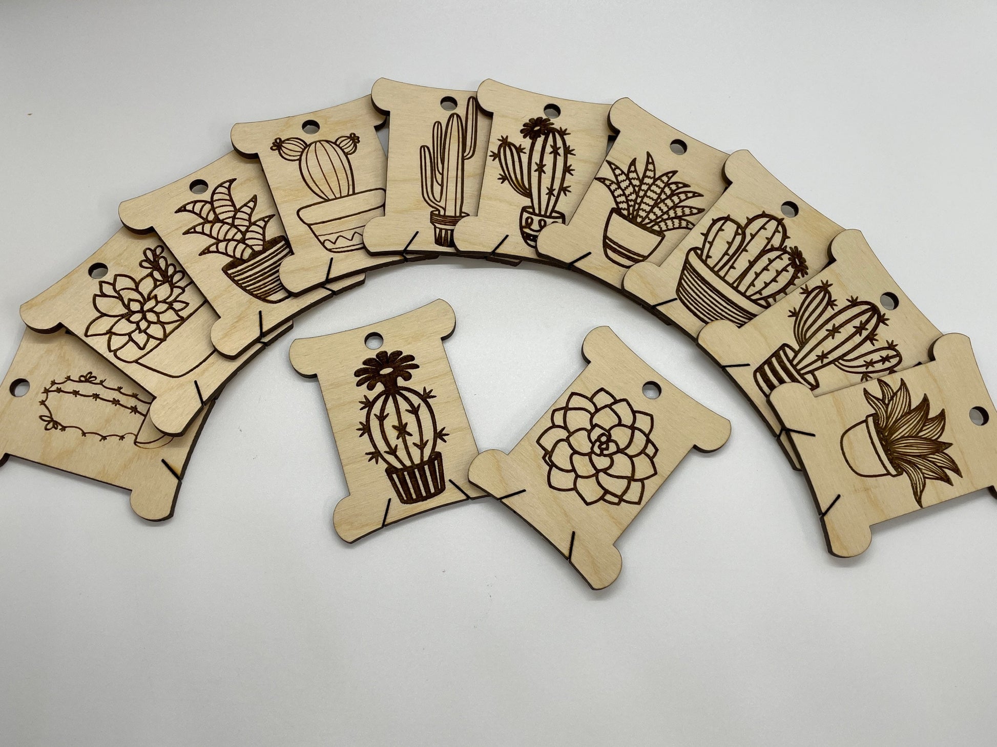 Wooden tags with cactus designs arranged in a semi-circle on a white background