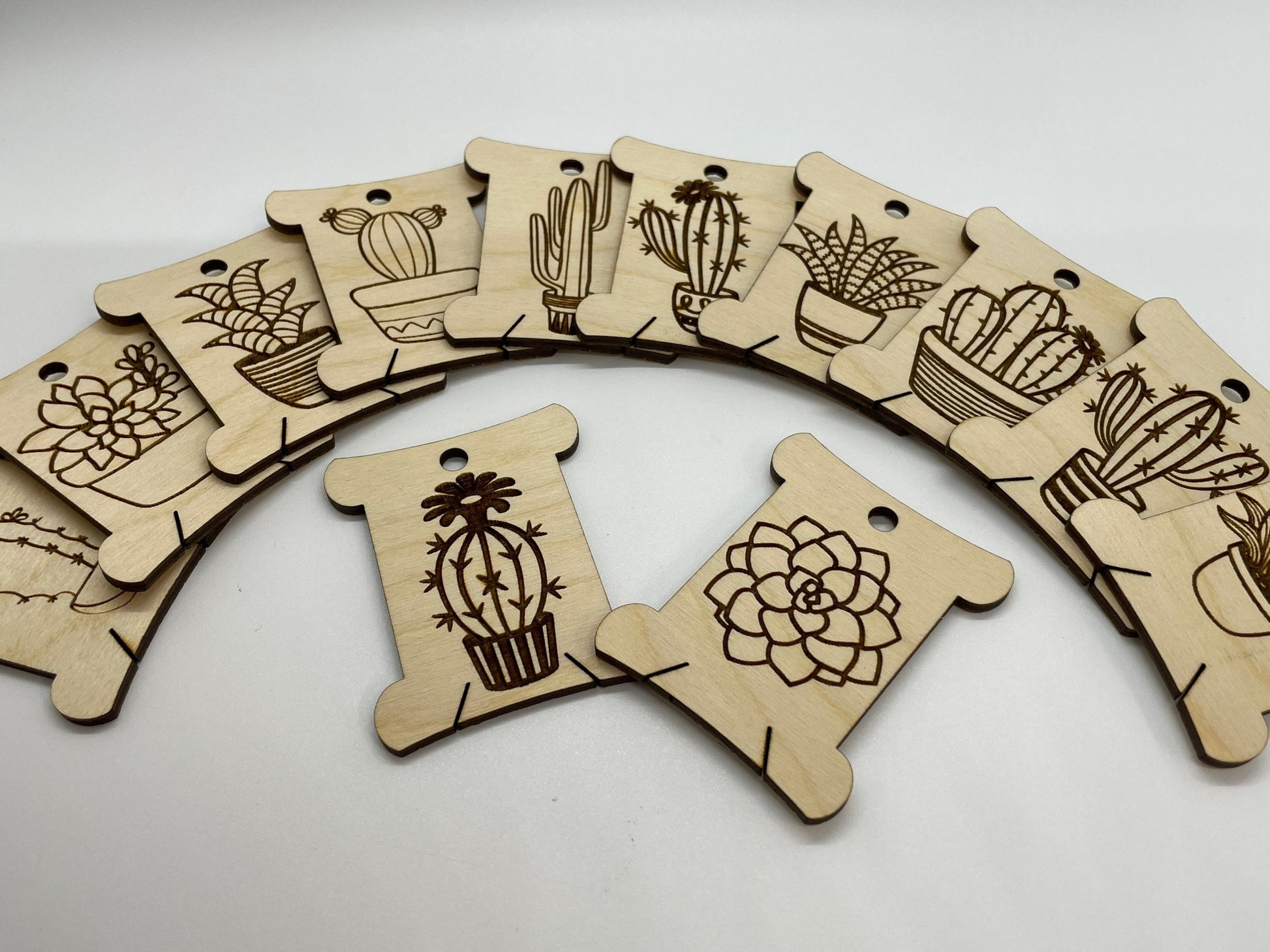 Wooden tags with cactus and succulent designs arranged in an arch on a light background