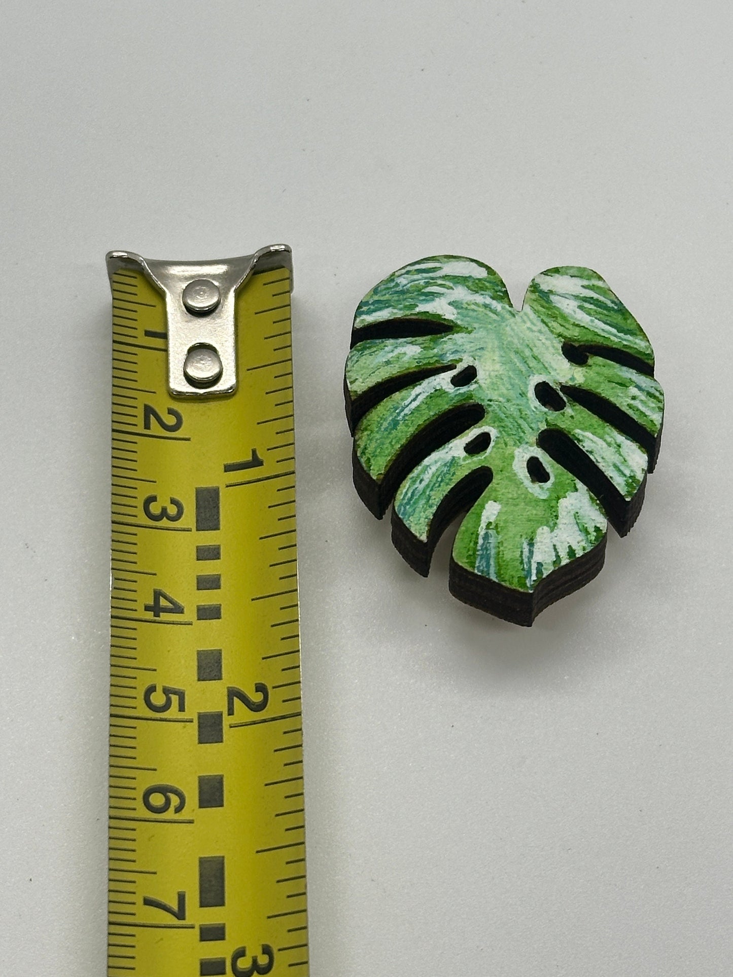 Green leaf-shaped object next to a ruler on a gray background
